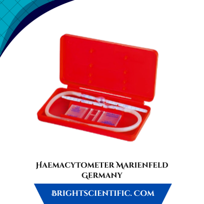 Haemacytometer Marienfeld Germany
