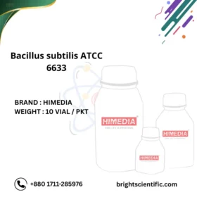 Bacillus subtilis ATCC 6633