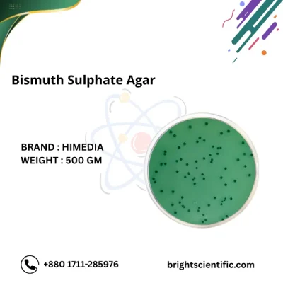 Bismuth Sulphite Agar | Selective Medium for Salmonella Detection