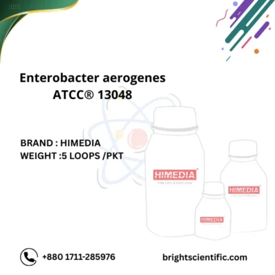 Enterobacter aerogenes ATCC® 13048