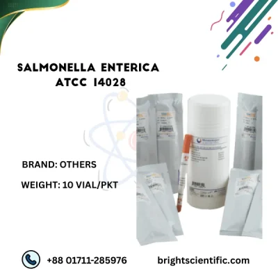 Salmonella Enterica ATCC14028