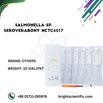 Salmonella sp SeroverAbony NCTC6017