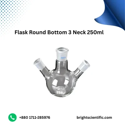 Flask Round Bottom 3 Neck 250ml B-24,19– Premium Lab Glassware