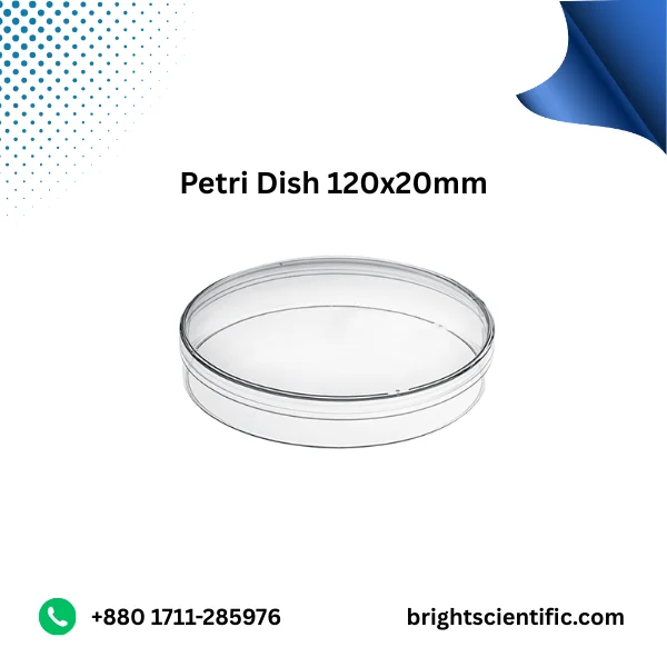 Petri Dish 120x20 mm – High-Quality Laboratory Glassware