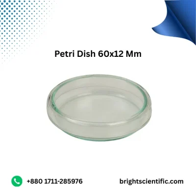 Petri Dish 60x12 mm – High-Quality Lab Glassware