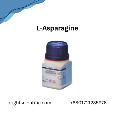 L-Asparagine