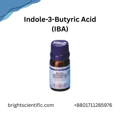 Indole-3-Butyric Acid (IBA)
