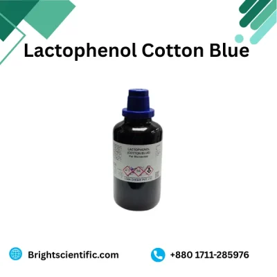 Loba India Lactophenol Cotton Blue 500ml microbiology stain reagent for fungal identification
