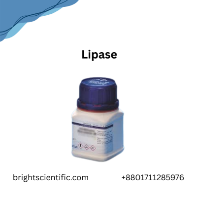 Lipase