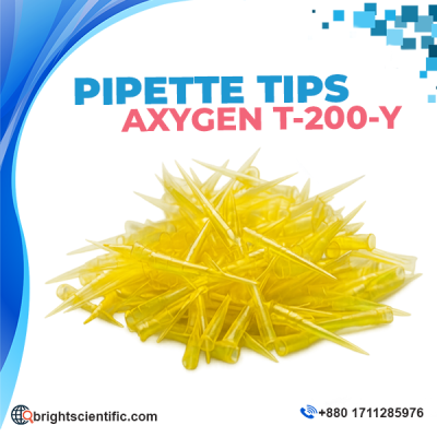 Micropipette Yellow Tips