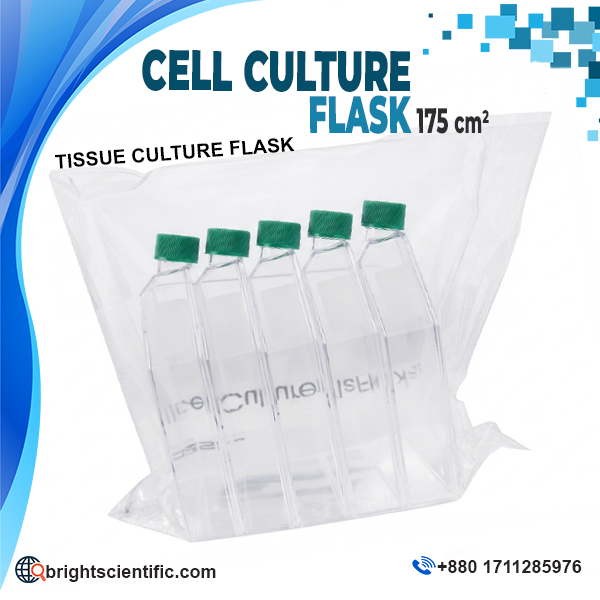 Sterile Cell Culture Flask 175 cm² with green screw cap for tissue culture, cell growth, biotechnology, and laboratory research applications.