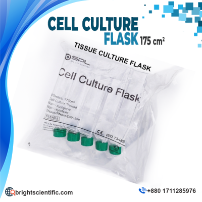 Sterile Cell Culture Flask 175 cm² with green screw cap for tissue culture, cell growth, biotechnology, and laboratory research applications.
