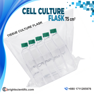 Sterile Cell Culture Flask 75 cm² with green screw cap for tissue culture, cell growth, biotechnology, and laboratory research applications.