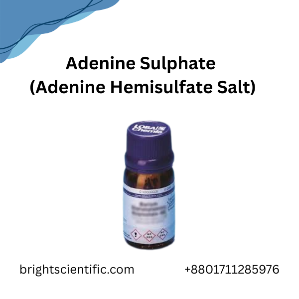 Adenine-Sulphate.png Adenine Sulphate (Adenine Hemisulfate Salt) - Image 1