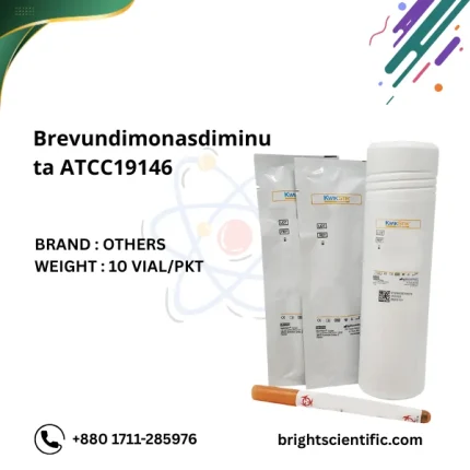 Brevundimonas diminuta ATCC19146
