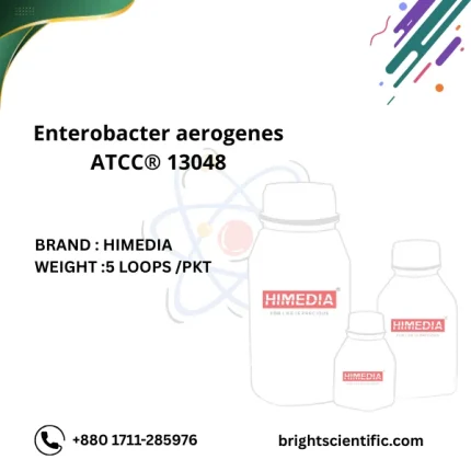 Enterobacter aerogenes ATCC® 13048