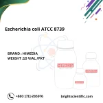 Escherichia coli ATCC 8739