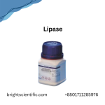 Lipase
