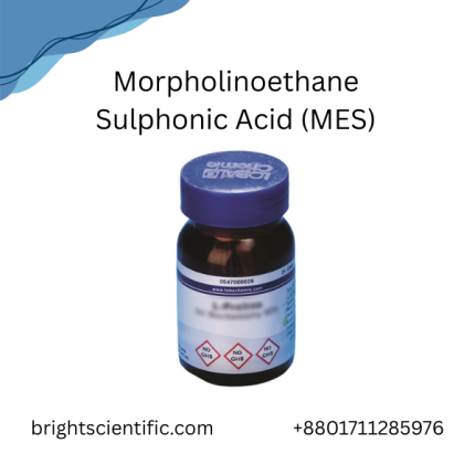 Morpholinoethane Sulphonic Acid (MES)