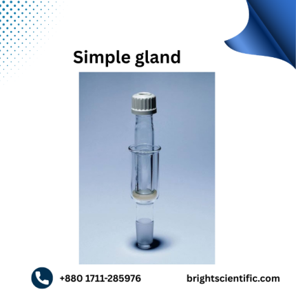 Simple Gland B-19 | High-Quality Laboratory Glassware Accessory