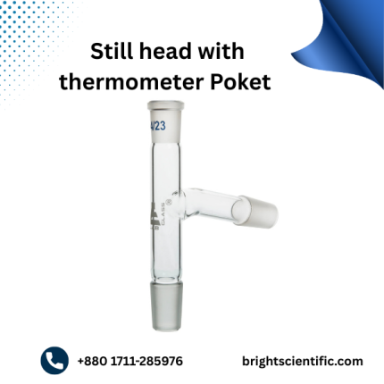 Still Head with Thermometer Pocket B-24 | High-Quality Lab Glassware