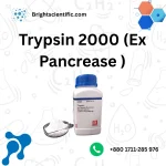 Trypsin 2000
